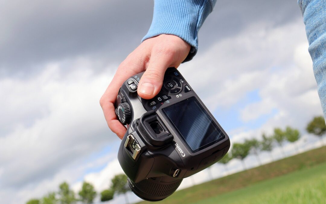 Dicas para ajudá-lo a melhorar suas habilidades na fotografia da natureza