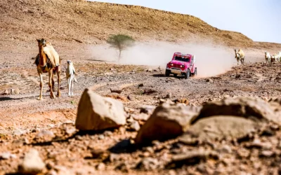 “O Rally Dakar foi uma escola pra mim”, conta o fotógrafo Vinícius Cabral