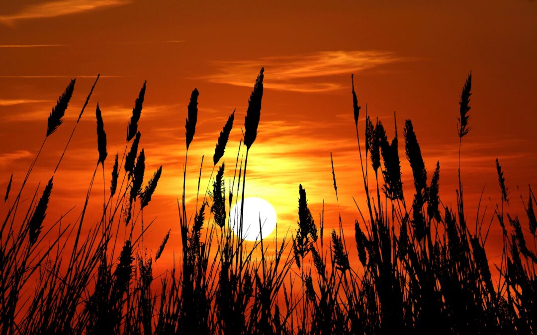 Como prever pores do sol incríveis para fotografia