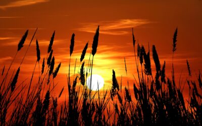 Como prever pores do sol incríveis para fotografia